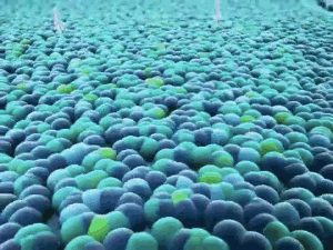 Featured image of post Cartoon Cell Membrane Gif Discover and share featured cell membrane gifs on gfycat