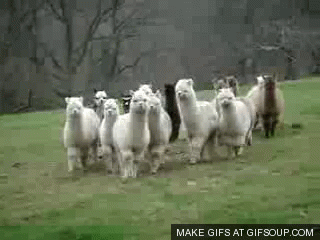 Mal bad schlecht GIF - Find on GIFER