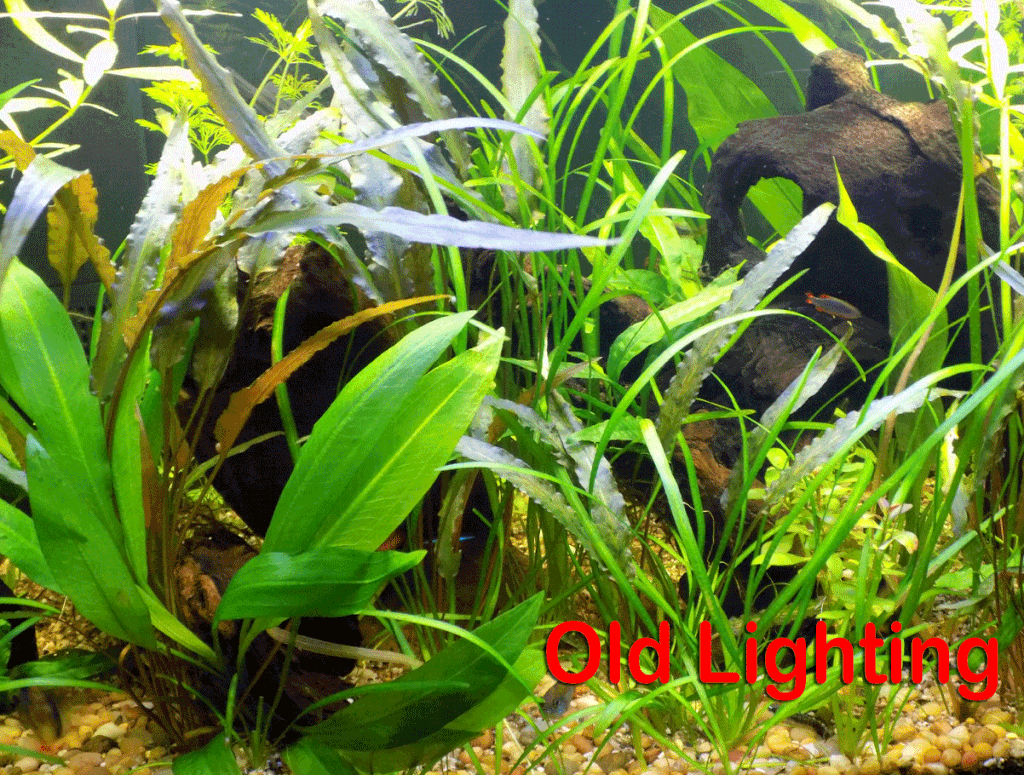 Hunts urban idris elba GIF Find on GIFER