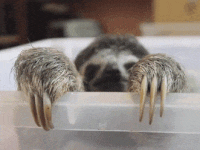 GIF look at them - animated GIF on GIFER