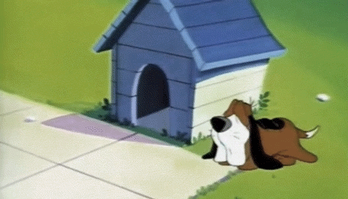 Tiny Toon Adventures Tiny Toon Adventures How I Spent My Vacation Cute Gif Find On Gifer