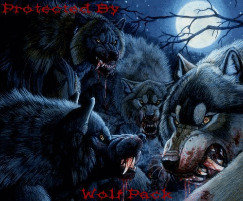 Pixilart  wolf pack by AmeliaBase123