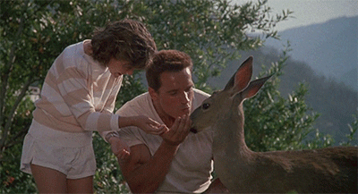PhDN.gif