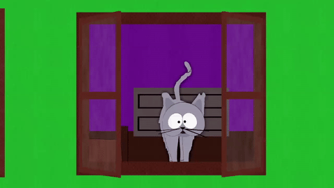 Kitty Chat Chaton Gif Find On Gifer