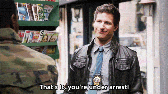 Image result for you are under arrest gifs