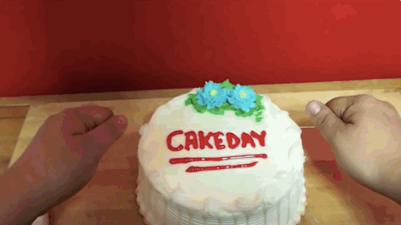10 Best Cake Day Memes in 2021 | Hilarious Cake Memes