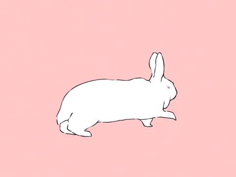 Gif Kaninchen Conejito Bunny Animated Gif On Gifer