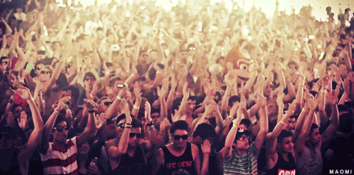 Featured image of post Cheering Audience Animated Gif I exported it and of course it wasn t accepted by captivate