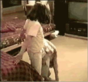 Humping animals child GIF - Find on GIFER