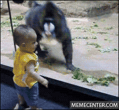 PxT9.gif