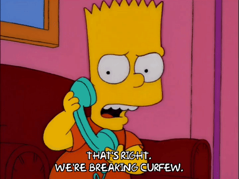Bart simpson episode 11 season 10 GIF on GIFER - by Axeraven