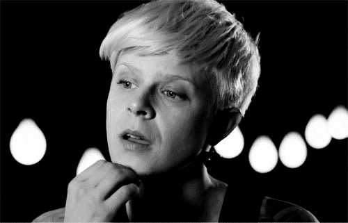 Emperor goose GIF Find on GIFER