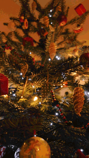 Smile lunch GIF Find on GIFER