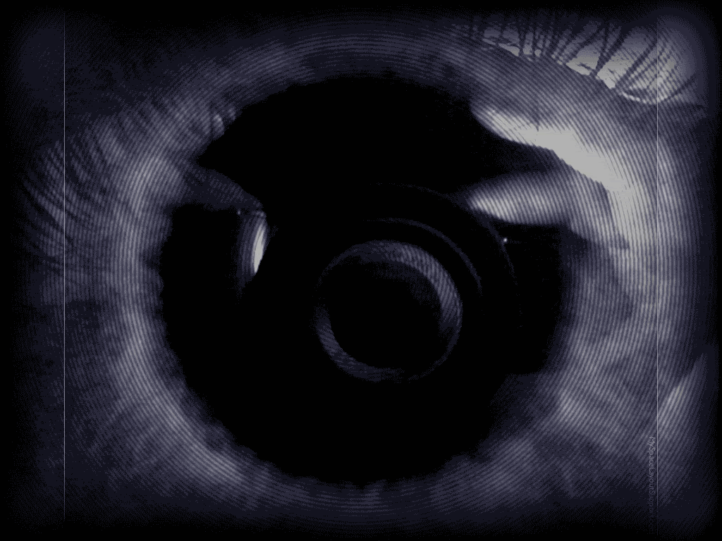 Глаза в камеру 5
