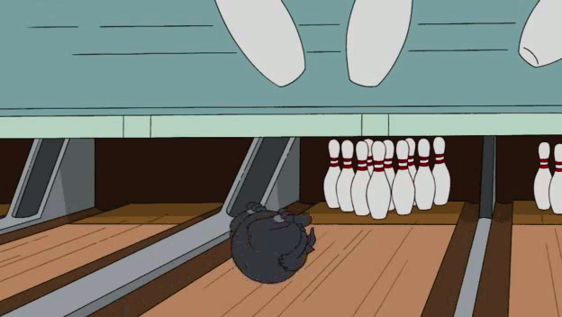 GIF cat bowling cat lady - animated GIF on GIFER