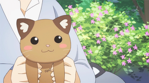 anime cat anime gif | WiffleGif
