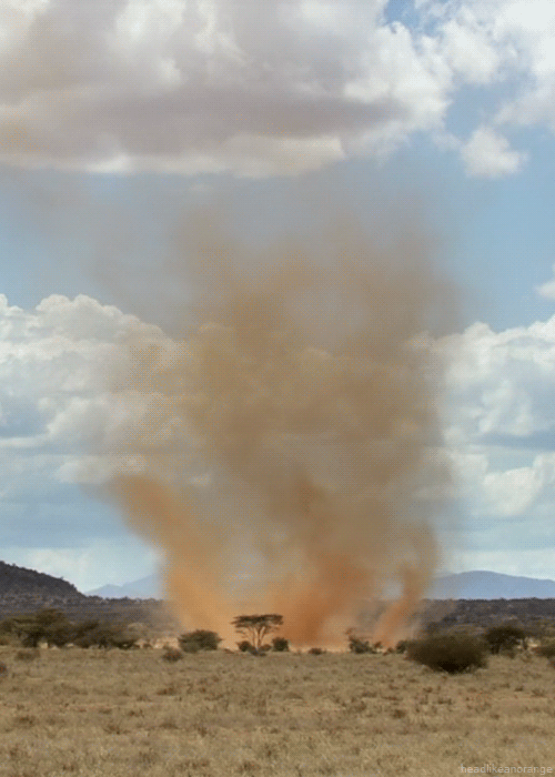Dust just devil GIF Find on GIFER