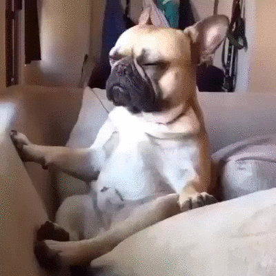 QJkY.gif