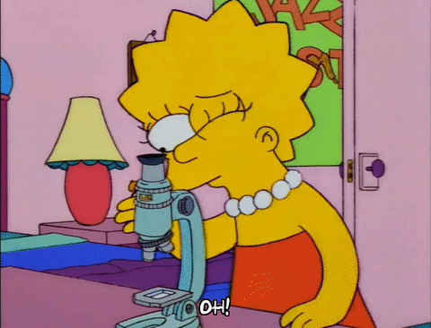 Lisa simpson episode 1 GIF - Find on GIFER
