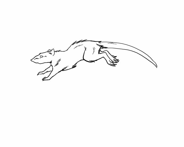 QSQw.gif