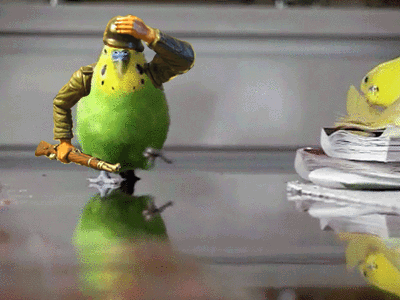 birds with arms gif