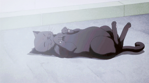GIF cat anime kawaii - animated GIF on GIFER