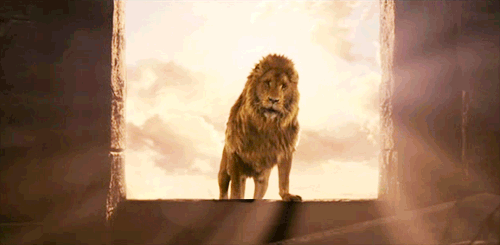 Resultado de imagem para The Chronicles of Narnia: The Lion, the Witch and the Wardrobe gifs