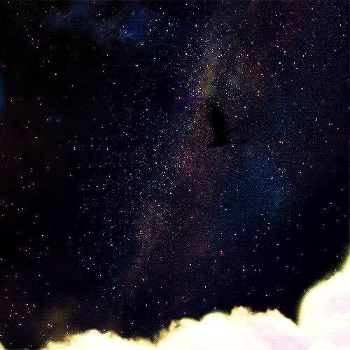Featured image of post Transparent Toothless Flying Gif