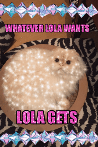 Lola gets