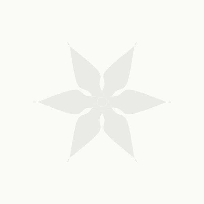 Cliff jumping jump ocean GIF Find on GIFER