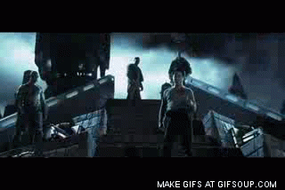 Qin0.gif
