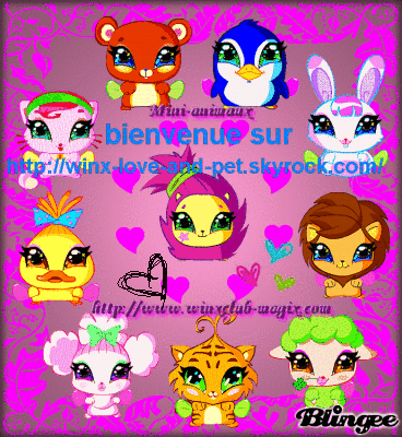 Винкс и их питомцы с именами. Как зовут животных винкс. Питомцы винкс. Питомцы фей винкс имена. Пикси питомцы из винкс.