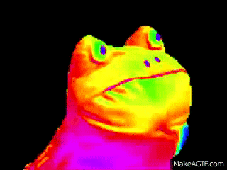 get out frog gif rainbow