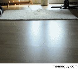 GIF: boden stock floor Dimensions: 250x223 px Download GIF sol, or share Yo...