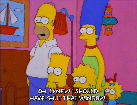 Wings GIF Find on GIFER