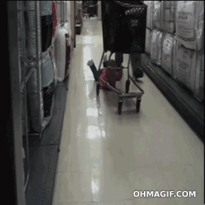Home video shopping cart GIF - Find on GIFER