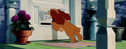 Inside desiree cousteau tmb Disney gtfo gif find share on giphy