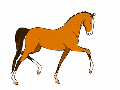cartoon horse running