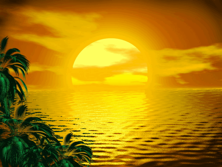 Sunset GIF Find on GIFER Sunset GIF Find on GIFER