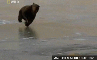 https://i.gifer.com/QzVT.gif