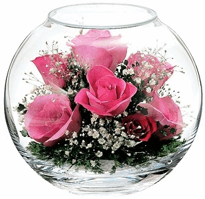 🌷🌸 DE JOLIES FLEURS POUR VOUS 🌹🌺