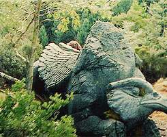 GIF the lord of the rings aragorn fellowship of the ring - animated GIF ...