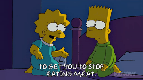 Bart Simpson Lisa Simpson Episode 17 Animated On Er 