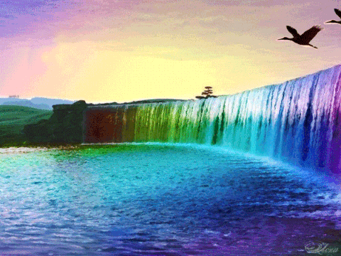 Nature GIF - Find on GIFER