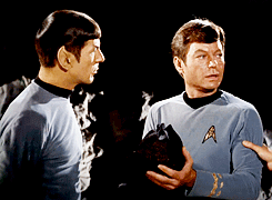 Star trek spock mccoy GIF - Find on GIFER