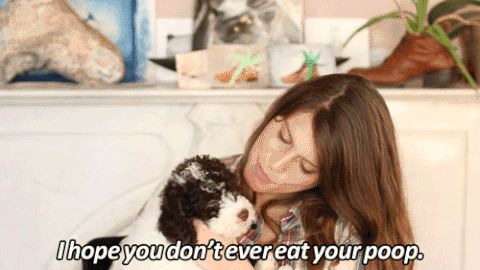 Dogs gross ew GIF - Find on GIFER