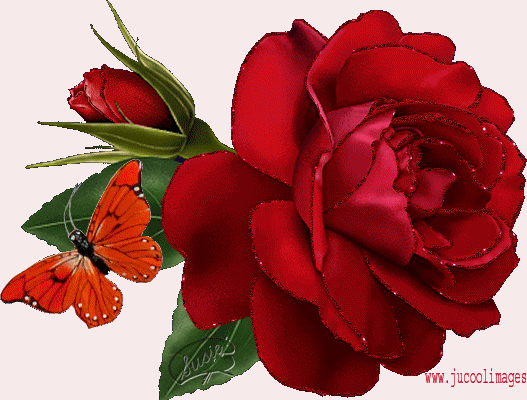 Image result for glitter flowers and butterflies