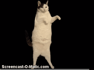Hamzeh Sad Cat Dance Gif GIF - Hamzeh Sad Cat Dance Gif - Discover & Share  GIFs