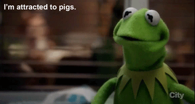 GIF kermit the muppets kermit the frog - animated GIF on GIFER