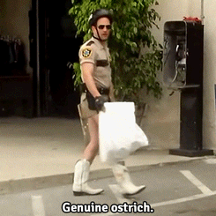 11 post in, and not one Reno 911 gif yet? 